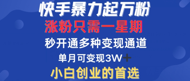 快手暴力起万粉,涨粉只需一星期,多种变现模式,直接秒开万合,单月变现过W【揭秘】-开心分享网