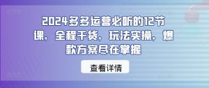 2024多多运营必听的12节课,全程干货,玩法实操,爆款方案尽在掌握-开心分享网