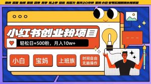 小红书创业粉项目日+500粉,每天20分钟躺赚长尾收益,无脑操作,宝妈,小白抓紧冲【揭秘】-开心分享网