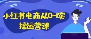 小红书电商从0-1实操运营课,小红书手机实操小红书/IP和私域课/小红书电商电脑实操板块等-开心分享网