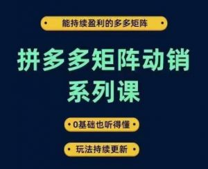 拼多多矩阵动销系列课,能持续盈利的多多矩阵,0基础也听得懂,玩法持续更新-开心分享网