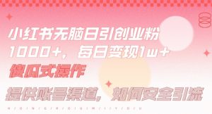 小红书无脑每日引流创业粉500+，小白每天只花半小时，躺赚长尾收益【揭秘】-开心分享网