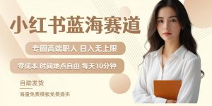 小红书蓝海赛道,圈中高端职场人,月入无上限,可矩阵,内含私域实操教程!-开心分享网