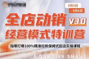 全店动销经营模式特训营,指哪打哪100%精准拉新保姆式起店实操课程-开心分享网