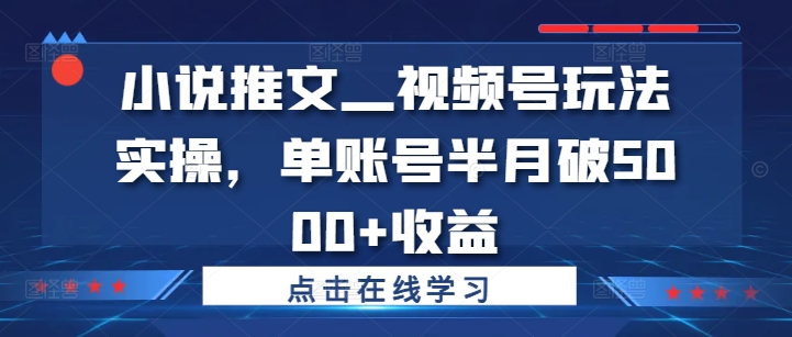 小说推文—视频号玩法实操,单账号半月破5000+收益-开心分享网