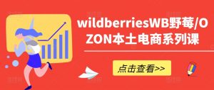 wildberriesWB野莓/OZON本土电商系列课,掌握WB产品优化,出单技巧和订单处理等-开心分享网