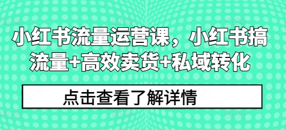 小红书流量运营课,小红书搞流量+高效卖货+私域转化-开心分享网