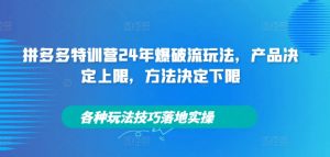 拼多多特训营24年爆破流玩法,产品决定上限,方法决定下限,各种玩法技巧落地实操-开心分享网