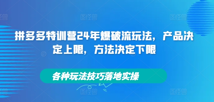 拼多多特训营24年爆破流玩法,产品决定上限,方法决定下限,各种玩法技巧落地实操-开心分享网