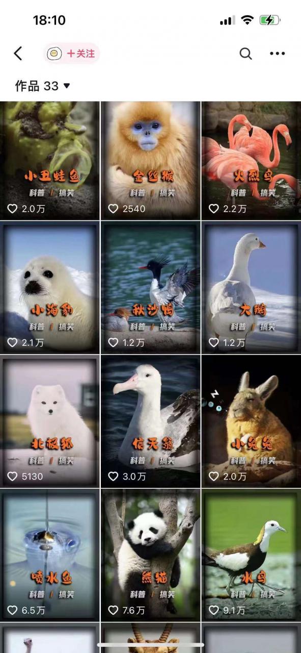 动物科普解说项目,撸创作者伙伴计划收益,保姆级实战教程-开心分享网