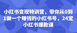 小红书变现特训营,带你从0到1做一个赚钱的小红书号,24堂小红书爆款课-开心分享网