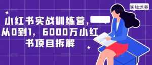 小红书实战训练营,从0到1,6000万小红书项目拆解-开心分享网