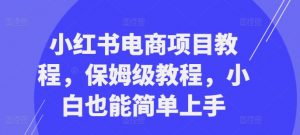 小红书电商项目教程,保姆级教程,小白也能简单上手-开心分享网