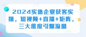 2024实体企业获客实操,短视频+直播+矩阵,三大维度引爆流量-开心分享网