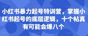 小红书暴力起号特训营，掌握小红书起号的底层逻辑，十个帖真有可能会爆八个-开心分享网