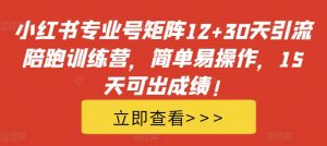 小红书专业号矩阵12+30天引流陪跑训练营,简单易操作,15天可出成绩!-开心分享网