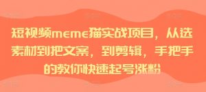 短视频meme猫实战项目,从选素材到把文案,到剪辑,手把手的教你快速起号涨粉-开心分享网