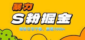 单人单机日引千粉,变现1k+,S粉流量掘金计划攻略【揭秘】-开心分享网