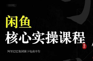 2024闲鱼核心实操课程,从养号、选品、发布、销售,教你做一个出单的闲鱼号-开心分享网