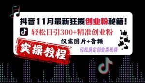 抖音11月最新狂揽创业粉秘籍,轻松日引300+精准创业粉,仅需图片+音频,轻松搞定创业类视频-开心分享网
