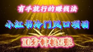 每天 10 分钟,小红书冷门风口项目开启,有手就行的搬运赚钱法,小白日入500 +【揭秘】-开心分享网