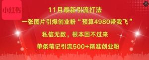 小红书11月最新图片打粉,一张图片引爆创业粉,“预算4980带我飞”,单条引流500+精准创业粉-开心分享网