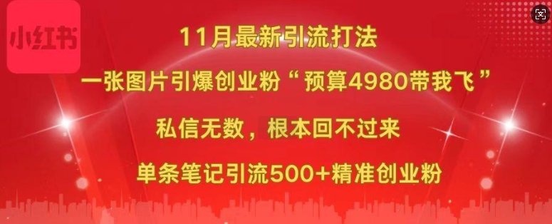 小红书11月最新图片打粉,一张图片引爆创业粉,“预算4980带我飞”,单条引流500+精准创业粉-开心分享网
