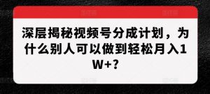 深层揭秘视频号分成计划,为什么别人可以做到轻松月入1W+?-开心分享网
