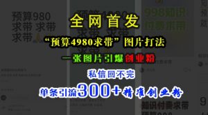 小红书“预算4980带我飞”图片打法,一张图片引爆创业粉,私信回不完,单条引流300+精准创业粉-开心分享网