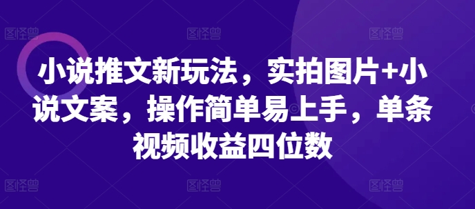 小说推文新玩法,实拍图片+小说文案,操作简单易上手,单条视频收益四位数-开心分享网