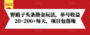 野路子头条撸金玩法,单号收益20~200+每天,项目包落地-开心分享网
