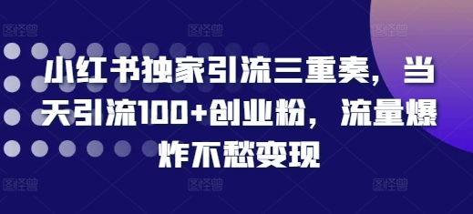 小红书独家引流三重奏,当天引流100+创业粉,流量爆炸不愁变现【揭秘】-开心分享网