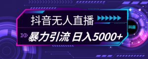 抖音快手视频号全平台通用无人直播引流法,利用图片模板和语音话术,暴力日引流100+创业粉【揭秘】-开心分享网