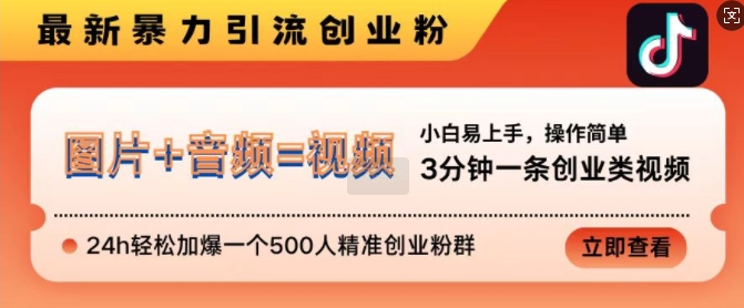 抖音最新暴力引流创业粉,3分钟一条创业类视频,24h轻松加爆一个500人精准创业粉群【揭秘】-开心分享网