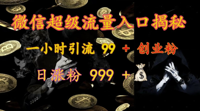 微信超级流量入口揭秘:一小时引流 99 + 创业粉,日涨粉 999 +-开心分享网