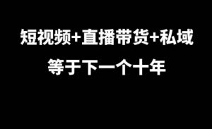 短视频+直播带货+私域等于下一个十年,大佬7年实战经验总结-开心分享网