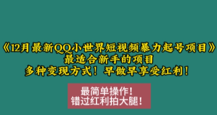 12月最新QQ小世界短视频暴力起号项目,最适合新手的项目,多种变现方式-开心分享网