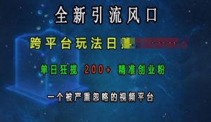 全新引流风口,跨平台玩法日入上k,单日狂揽200+精准创业粉,一个被严重忽略的视频平台-开心分享网