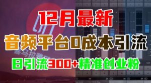 12月最新:音频平台0成本引流,日引流300+精准创业粉-开心分享网