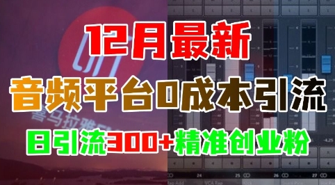 12月最新:音频平台0成本引流,日引流300+精准创业粉-开心分享网