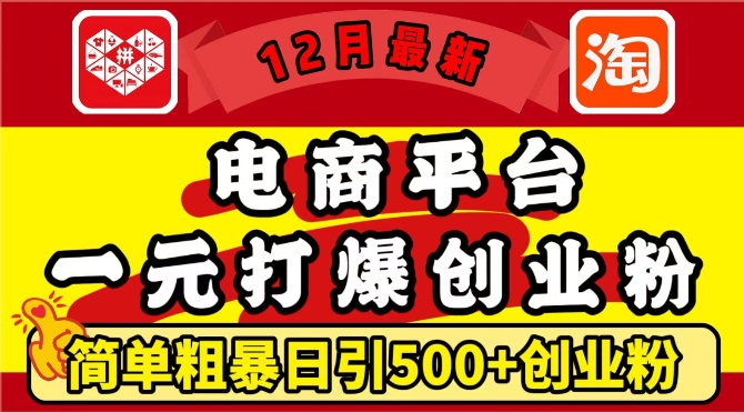 12月最新:电商平台1元打爆创业粉,简单粗暴日引500+精准创业粉,轻松月入过W【揭秘】-开心分享网