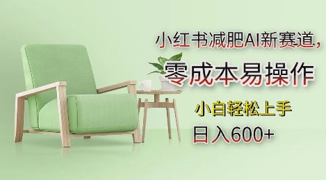 小红书减肥AI新赛道,零成本易操作,日入多张,小白轻松上手【揭秘】-开心分享网