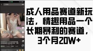 成人用品赛道新玩法,情趣用品一个长期暴利的赛道,3个月收益20个【揭秘】-开心分享网