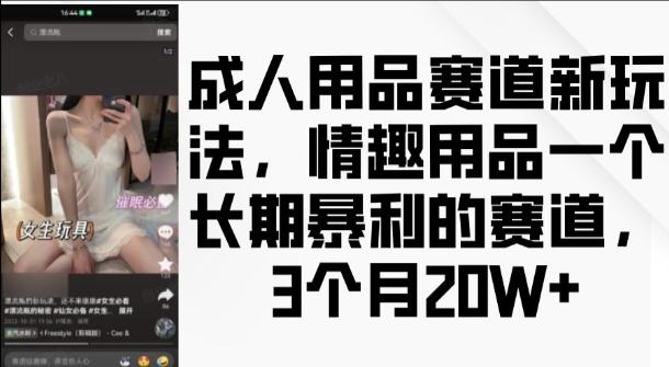 成人用品赛道新玩法,情趣用品一个长期暴利的赛道,3个月收益20个【揭秘】-开心分享网