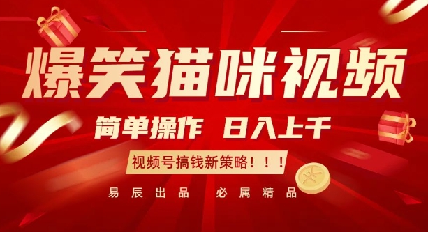 爆笑猫咪视频:简单操作,日入过K,视频号搞钱新策略【揭秘】-开心分享网