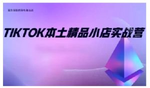 TikTok本土精品小店出海实战营,从入门到高阶,不止0-1!-开心分享网