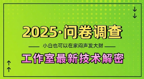 2025问卷调查最新工作室技术解密：一个人在家也可以闷声发大财，小白一天2张，可矩阵放大【揭秘】-开心分享网