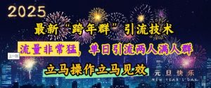 最新“跨年群”引流，流量非常猛，单日引流两人满人群，立马操作立马见效【揭秘】-开心分享网