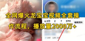 全网爆火龙宝宝视频全套操作流程,播放量2000万+-开心分享网