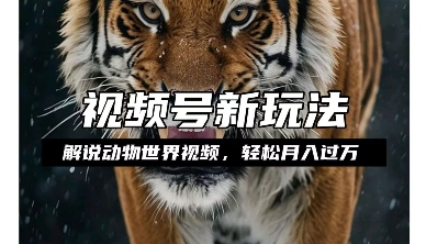 利用动物世界解说视频,赚分成计划收益,轻松月入过W,操作简单【揭秘】-开心分享网